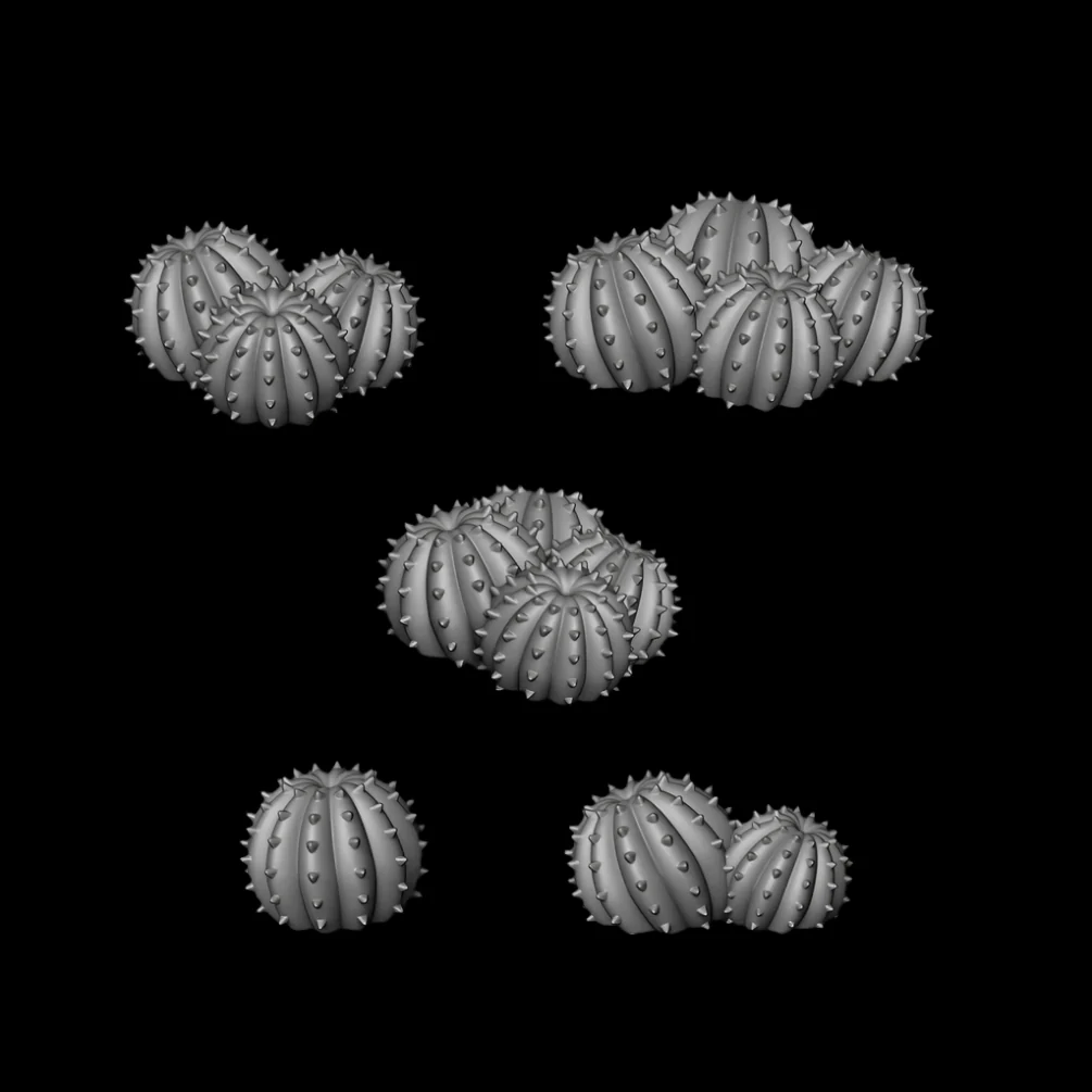 Round Cactus